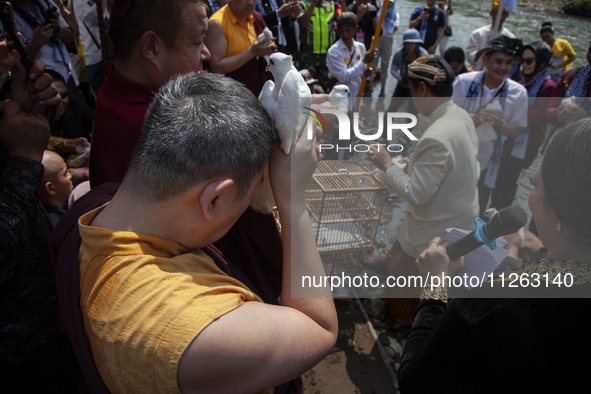 Buddhist monks are releasing doves in the Fang Sen ritual, or releasing animals into nature, as part of a series of worship ahead of Vesak D...