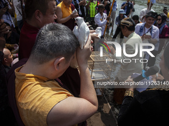 Buddhist monks are releasing doves in the Fang Sen ritual, or releasing animals into nature, as part of a series of worship ahead of Vesak D...