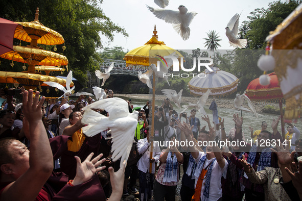 Buddhist monks are releasing doves in the Fang Sen ritual, or releasing animals into nature, as part of a series of worship ahead of Vesak D...