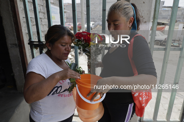 Two women are talking at the entrance to the property known as El Yuguelito, an irregular piece of land located in Colonia Polvorilla in the...