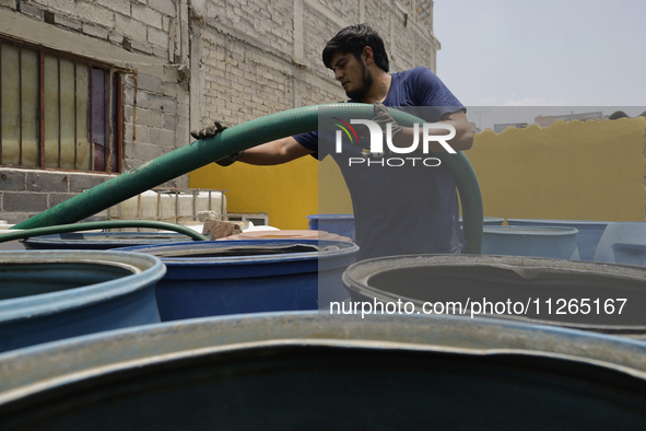 A water pipe worker is distributing water inside the property known as El Yuguelito, an irregular piece of land located in the Polvorilla Co...