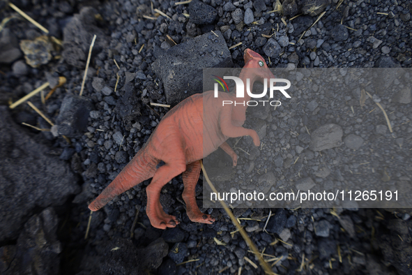 A toy dinosaur is being viewed on the property known as El Yuguelito, an irregular piece of land located in the Polvorilla Colony in the Izt...