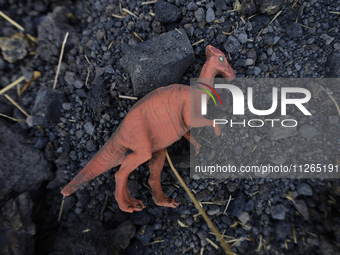 A toy dinosaur is being viewed on the property known as El Yuguelito, an irregular piece of land located in the Polvorilla Colony in the Izt...