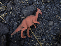 A toy dinosaur is being viewed on the property known as El Yuguelito, an irregular piece of land located in the Polvorilla Colony in the Izt...