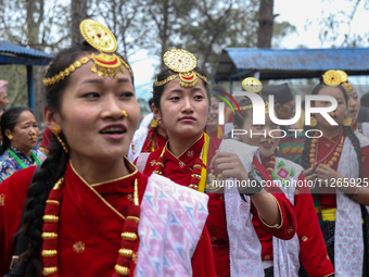 Nepalese people from the Kirat community are wearing traditional attire and playing and dancing during the Ubhauli festival in Lalitpur, Nep...