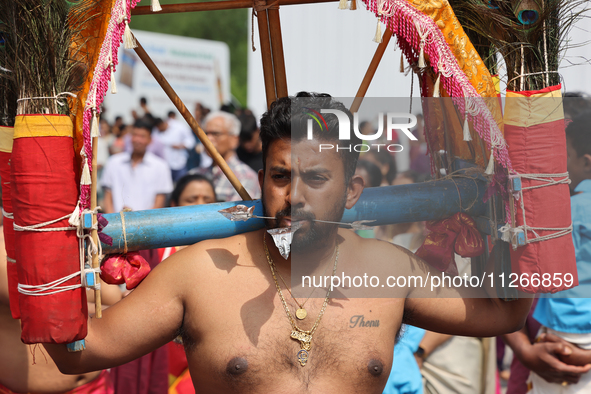 Tamil Hindu devotees are performing the Kavadi Attam dance as devotees are taking part in the chariot procession (ther) during the Ganesha M...