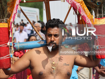 Tamil Hindu devotees are performing the Kavadi Attam dance as devotees are taking part in the chariot procession (ther) during the Ganesha M...