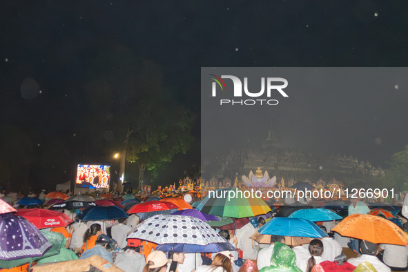 Devotees are using umbrellas for shelter during the Vesak celebration at Borobudur Temple. Despite the rainfall, their spirits are remaining...