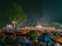 Devotees are using umbrellas for shelter during the Vesak celebration at Borobudur Temple. Despite the rainfall, their spirits are remaining...