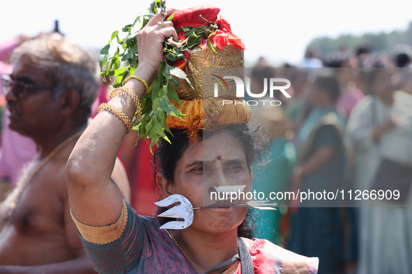 A Tamil Hindu woman is carrying a pot on her head filled with milk and honey, with a facial skewer, as devotees are taking part in the chari...