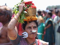 A Tamil Hindu woman is carrying a pot on her head filled with milk and honey, with a facial skewer, as devotees are taking part in the chari...