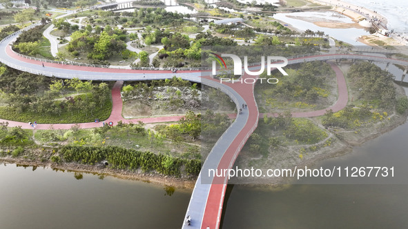 View of the Sunshine Coast Greenway in Rizhao, China, on May 23, 2024. 