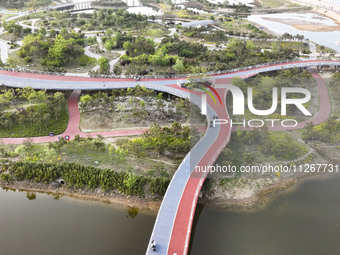 View of the Sunshine Coast Greenway in Rizhao, China, on May 23, 2024. (