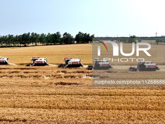 Harvesters are harvesting wheat in a field in Suqian, Jiangsu province, China, on May 24, 2024. (