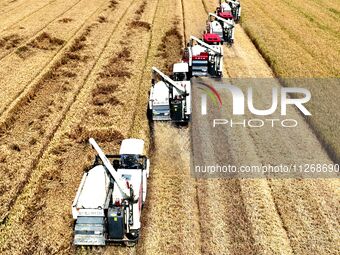 Harvesters are harvesting wheat in a field in Suqian, Jiangsu province, China, on May 24, 2024. (