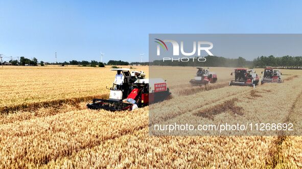 Harvesters are harvesting wheat in a field in Suqian, Jiangsu province, China, on May 24, 2024. 