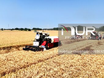 Harvesters are harvesting wheat in a field in Suqian, Jiangsu province, China, on May 24, 2024. (