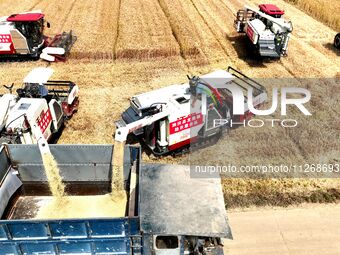 Harvesters are harvesting wheat in a field in Suqian, Jiangsu province, China, on May 24, 2024. (