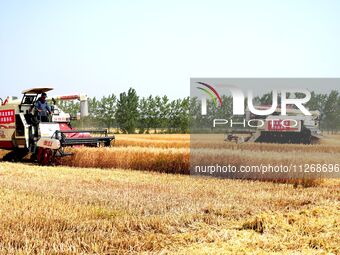 Harvesters are harvesting wheat in a field in Suqian, Jiangsu province, China, on May 24, 2024. (