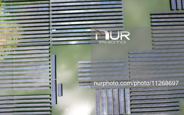 Solar photovoltaic panels are lining up at a photovoltaic power plant in Liuzhou, China, on May 16, 2024. 