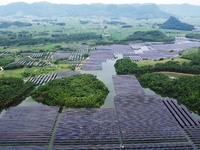 Solar photovoltaic panels are lining up at a photovoltaic power plant in Liuzhou, China, on May 16, 2024. (