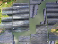 Solar photovoltaic panels are lining up at a photovoltaic power plant in Liuzhou, China, on May 16, 2024. (