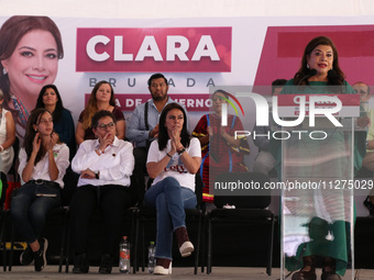 Clara Brugada, candidate for the head of Government of Mexico City for the 'Juntos Hagamos Historia' alliance, is speaking during a rally ca...