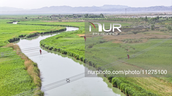 Construction workers are erecting a power grid at a height at the Bazhou-Tieganlik-Ruoqiang 750 kV transmission line project site in Korla,...