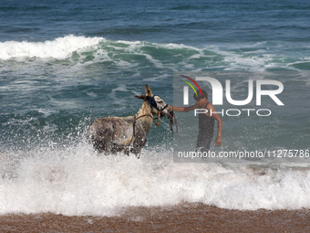 A Palestinian boy is bathing a donkey in the sea, in Deir el-Balah, central Gaza Strip, on May 26, 2024, amid the ongoing conflict between I...