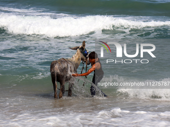 A Palestinian boy is bathing a donkey in the sea, in Deir el-Balah, central Gaza Strip, on May 26, 2024, amid the ongoing conflict between I...