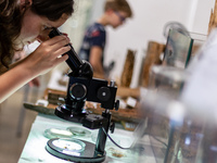 A woman watches an insect under microscope as Polish and exotic insects and reptiles exhibited by breeders and scientists during an XXII Nat...