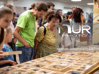 People watch Polish and exotic insects and reptiles exhibited by breeders and scientists during an XXII National Insect Day at Agriculture U...