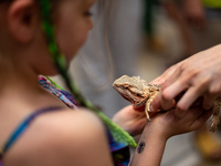 A girl watches Bearded dragon as Polish and exotic insects and reptiles are exhibited by breeders and scientists during an XXII National Ins...