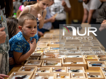 People watch butterflies exhibited by breeders and scientists during an XXII National Insect Day at Agriculture University in Krakow, Poland...