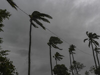 Kuakata Sea Beach, on the outskirts of Patuakhali, is preparing for Cyclone Remal landfall in the Kuakata and Coastal area. Bangladesh is ra...