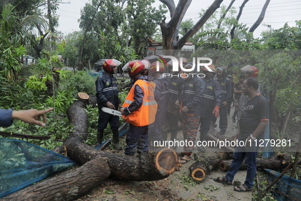 Fire service officials are trying to remove a tree wiped out by heavy wind as Cyclone Remal is landing in Satkhira, Bangladesh, on May 27, 2...