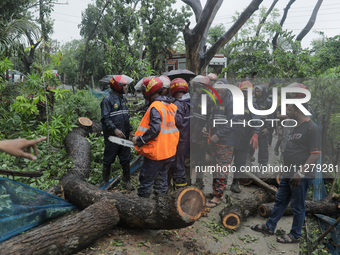 Fire service officials are trying to remove a tree wiped out by heavy wind as Cyclone Remal is landing in Satkhira, Bangladesh, on May 27, 2...