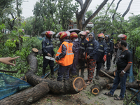 Fire service officials are trying to remove a tree wiped out by heavy wind as Cyclone Remal is landing in Satkhira, Bangladesh, on May 27, 2...