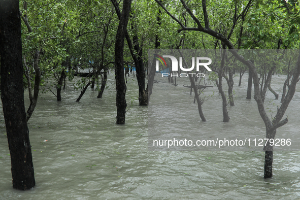 A bush is being seen submerged by water as Cyclone Remal is landing in Satkhura, Bangladesh, on May 27, 2024 