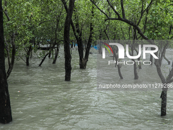 A bush is being seen submerged by water as Cyclone Remal is landing in Satkhura, Bangladesh, on May 27, 2024 (