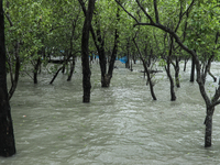 A bush is being seen submerged by water as Cyclone Remal is landing in Satkhura, Bangladesh, on May 27, 2024 (