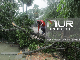 A man is crossing a tree wiped out by heavy wind as Cyclone Remal is landing in Satkhira, Bangladesh, on May 27, 2024. (