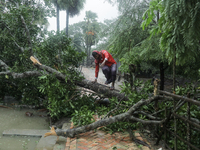 A man is crossing a tree wiped out by heavy wind as Cyclone Remal is landing in Satkhira, Bangladesh, on May 27, 2024. (