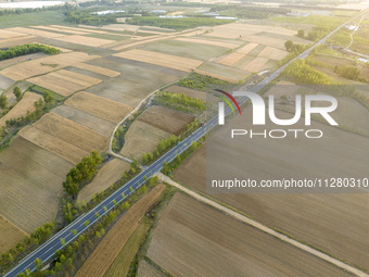 A harvest of wheat is being seen on a vast field in Lianyungang, China, on May 27, 2024. (