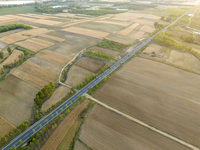 A harvest of wheat is being seen on a vast field in Lianyungang, China, on May 27, 2024. (