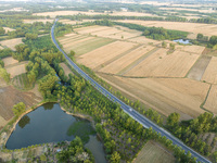 A harvest of wheat is being seen on a vast field in Lianyungang, China, on May 27, 2024. (