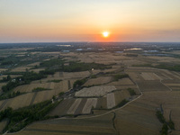 A harvest of wheat is being seen on a vast field in Lianyungang, China, on May 27, 2024. (