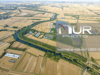 A harvest of wheat is being seen on a vast field in Lianyungang, China, on May 27, 2024. (