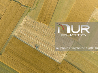 A harvest of wheat is being seen on a vast field in Lianyungang, China, on May 27, 2024. (