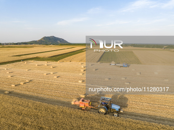 A harvest of wheat is being seen on a vast field in Lianyungang, China, on May 27, 2024. 